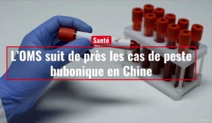 Un cas de peste bubonique en Mongolie intérieure confirmé par des responsables chinois