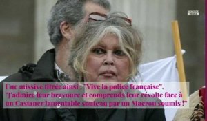 Brigitte Bardot prête à quitter la France : elle se fait lyncher sur Twitter