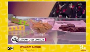 Des recettes... aux larves !