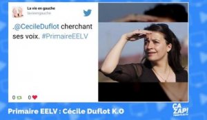 Les internautes se moquent de Cécile Duflot, battue aux primaires des Verts