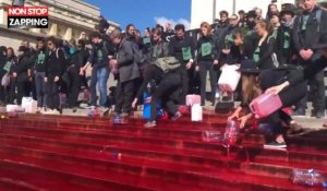 Des militants écolos déversent du faux sang sur la place du Trocadéro à Paris (vidéo) 