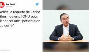Les avocats de Carlos Ghosn en appellent à nouveau aux Nations unies