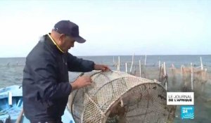 En Tunisie, la Charfiya, méthode de pêche ancestrale est en danger