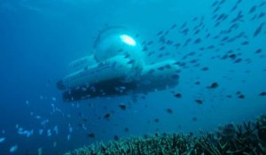 Un sous-marin Uber pour découvrir la Grande barrière de corail