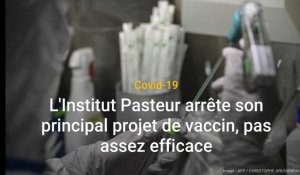 Covid-19 : l'institut Pasteur arrête son principal projet de vaccin contre le coronavirus