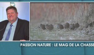 Passion Nature, le magazine de la chasse des Hauts-de-France