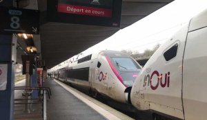 Arras : un TGV évacué en raison d'un bagage abandonné