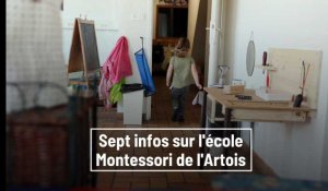 Arrageois - Ternois: 7 infos sur l'école Montessori de l'Artois