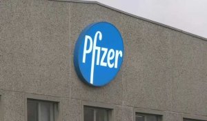 Images de l'usine Pfizer après l'approbation du vaccin par le régulateur européen
