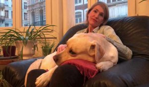 Lille : pourquoi Only, chien-guide, a été réformée
