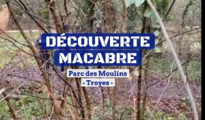 Découverte macabre au Parc des Moulins à Troyes