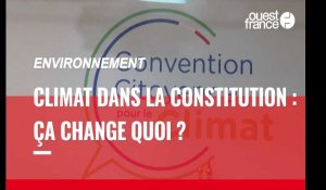 Environnement. Qu'est-ce que cela changerait d'inscrire la protection de l'environnement dans la Constitution ?