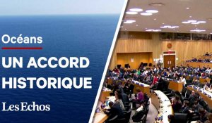 Accord historique à l'ONU pour protéger la haute mer : ce qu'il faut en retenir