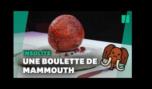 En Australie, une entreprise fabrique des boulettes de viande de mammouth