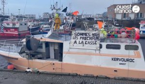 VIDÉO. Plus de 400 marins pêcheurs bretons ont manifesté à Brest pour défendre leur métier