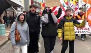 VIDÉO. Manifestation du 28 mars dans la Manche : la mobilisation en baisse