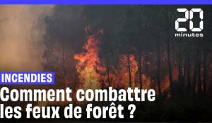 Incendie : Comment combattre les feux de forêts ?