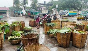 Le cyclone Mocha s'abat sur le Bangladesh et provoque de fortes pluies