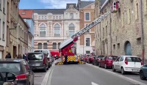 Saint-Omer : un nid d'abeilles au lycée Alexandre-Ribot ; les pompiers interviennent