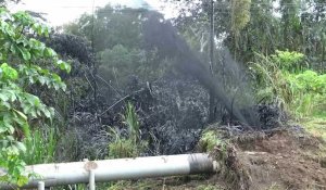 Equateur: fuite de pétrole dans la jungle amazonienne après le "sabotage" d'un oléoduc