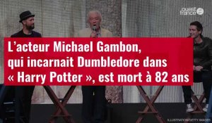 VIDÉO. L’acteur Michael Gambon, qui incarnait Dumbledore dans « Harry Potter », est mort à 82 ans