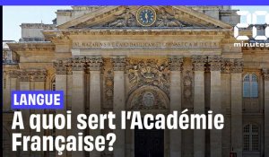 A quoi sert l’Académie Française?
