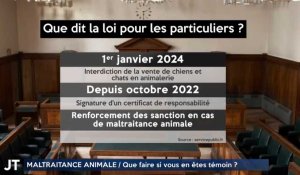 MALTRAITANCE ANIMALE / Que faire si vous en êtes témoin ?