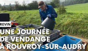 Une journée de vendange à Rouvroy-sur-Audry