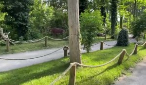 Coudekerque-Branche : le Dino Parc se dote de dinosaures mobiles