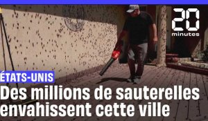 États-Unis : Des millions de sauterelles envahissent cette ville du Nevada #shorts