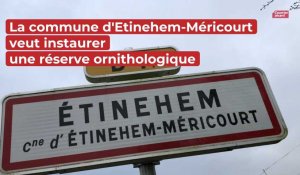 La commune d'Etinehem-Méricourt veut instaurer une réserve ornithologique.