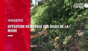 80 kilos de déchets ramassés sur les berges à Angers