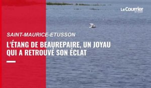 VIDEO. L'étang de Beaurepaire, temple de la biodiversité entre Deux-Sèvres et Maine-et-Loire