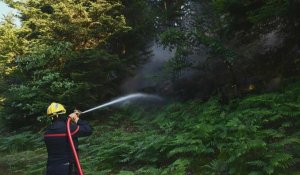 Incendie dans les Vosges, les flammes "progressent doucement"