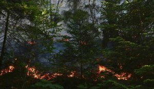 Incendie dans les Vosges: au moins 30 hectares détruits sur la commune de Bois-de-Champ