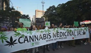 Brésil : Manifestation à Sao Paulo pour la légalisation de la marijuana