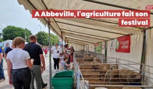 Le Festival de l'agriculture en Picardie maritime se tient à Abbeville