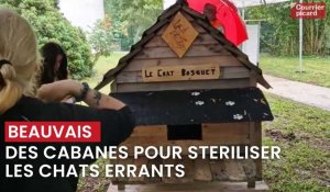A Beauvais, des cabanes pour stériliser les chats errants
