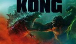 Godzilla contre King-Kong : Coup de coeur de Télé 7