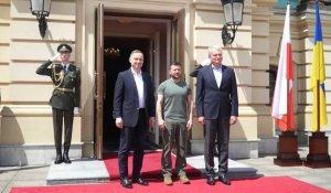 Volodymyr Zelensky rencontre les présidents polonais et lituanien à Kiev