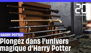 Harry Potter : plongez dans l'univers magique d'Harry Potter