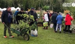 VIDÉO. Fête des jardins à Tréveneuc : une centaine d'exposants, des milliers de visiteurs