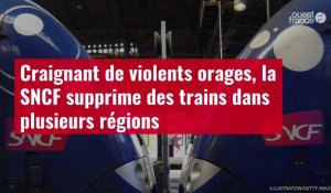 VIDÉO. Craignant de violents orages, la SNCF supprime des trains dans plusieurs régions