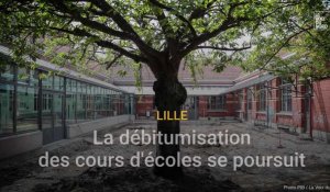 Changement climatique : la débitumisation des cours d'écoles se poursuit à Lille