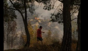 D'importants feux de forêt près d'Athènes, des habitants et touristes évacués