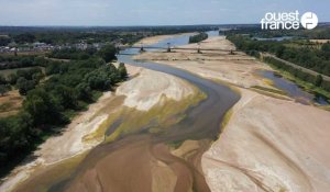 VIDÉO. Sécheresse : des images préoccupantes du faible niveau de la Loire