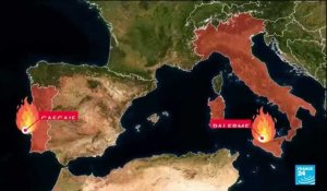 Feux en Grèce, Italie, Portugal : l'Europe du Sud touchée par des incendies meurtriers