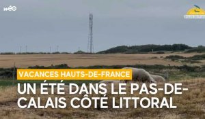 Vacances Hauts-de-France : un été dans le Pas-de-Calais côté littoral