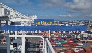 Le Havre. Visite interdite en haut d'un portique de Port 2000