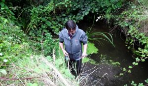 Plougasnou : Le ruisseau de Pontplaincoat pollué à la soude